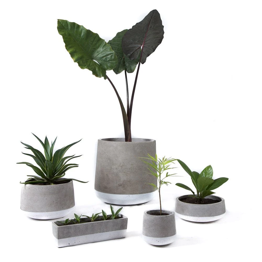 Concrete Planter Large White Band - Image 4