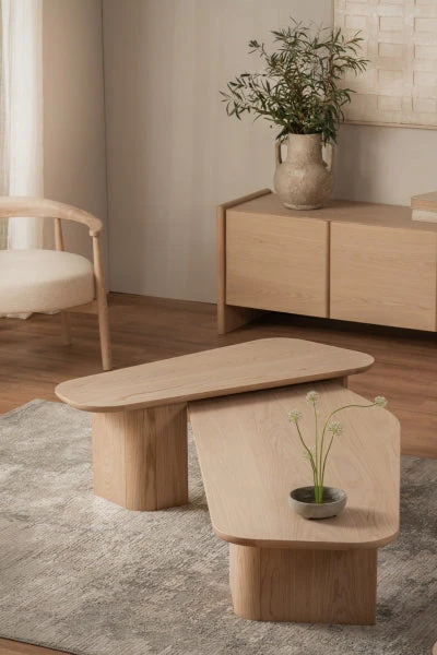 Loleta TV Unit - Image 9