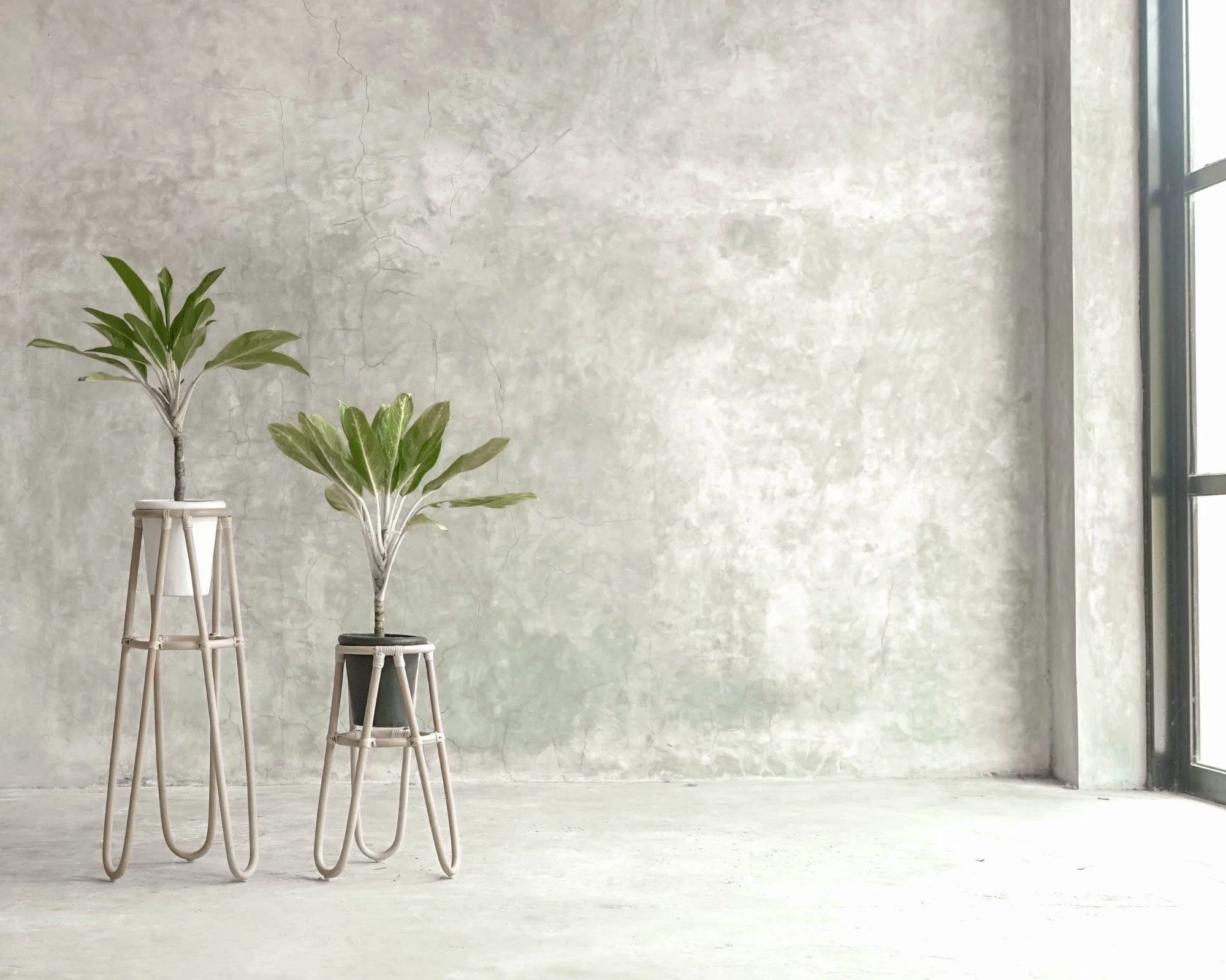 Oasis Plant Stand Natural Large - Image 2