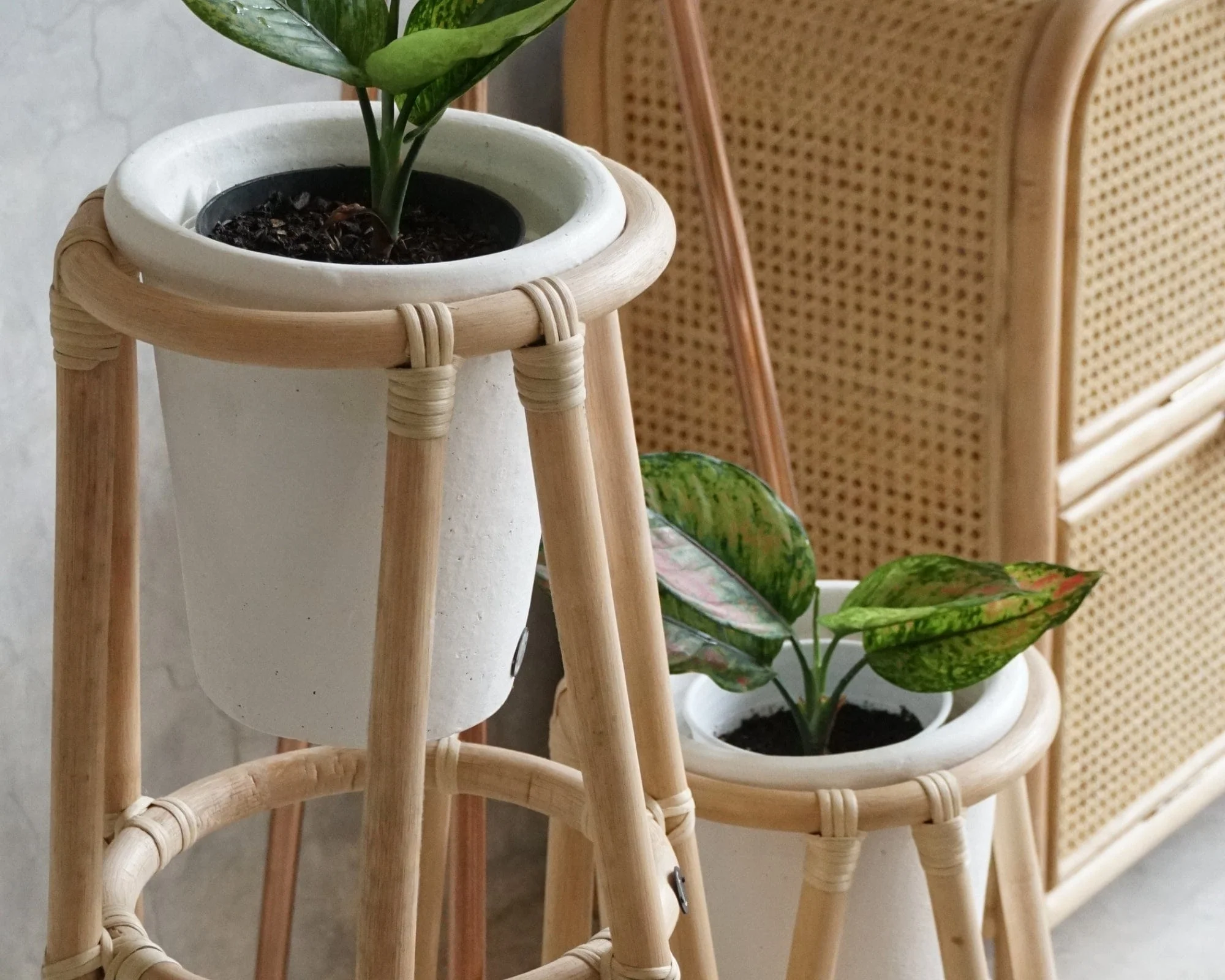 Oasis Plant Stand Natural Large - Image 5