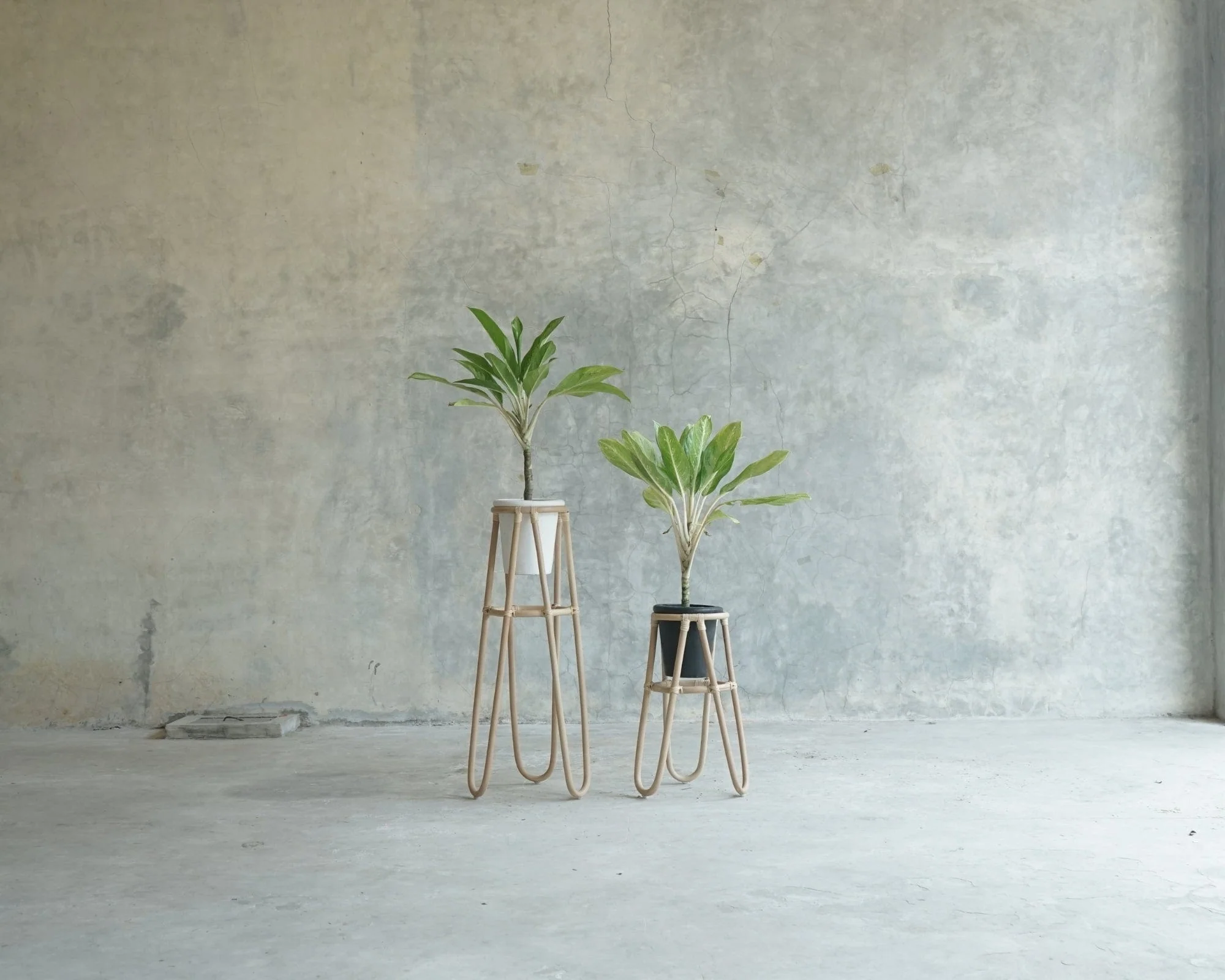 Oasis Plant Stand Natural Small - Image 3