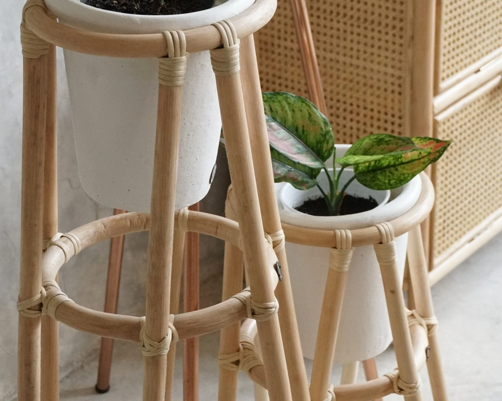 Oasis Plant Stand Natural Small - Image 4